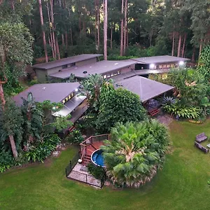 Dezen , Palmview Australia